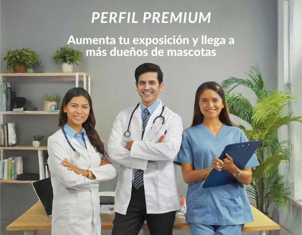 perfil premium veterinario